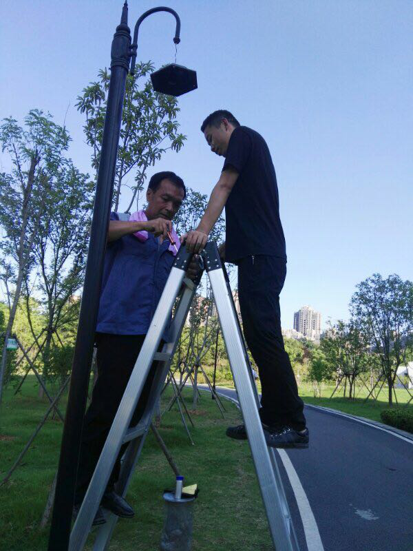 1543455522758013725.png 1543455522758013725.png